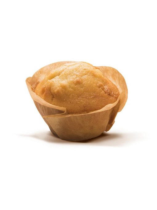 Muffin alla mela senza glutine